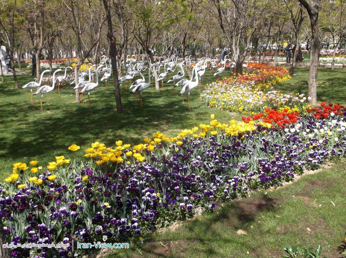 جلوه ای بهاری از باغ لاله ها در بوستان میلاد تهران – Milad Park in Tehran